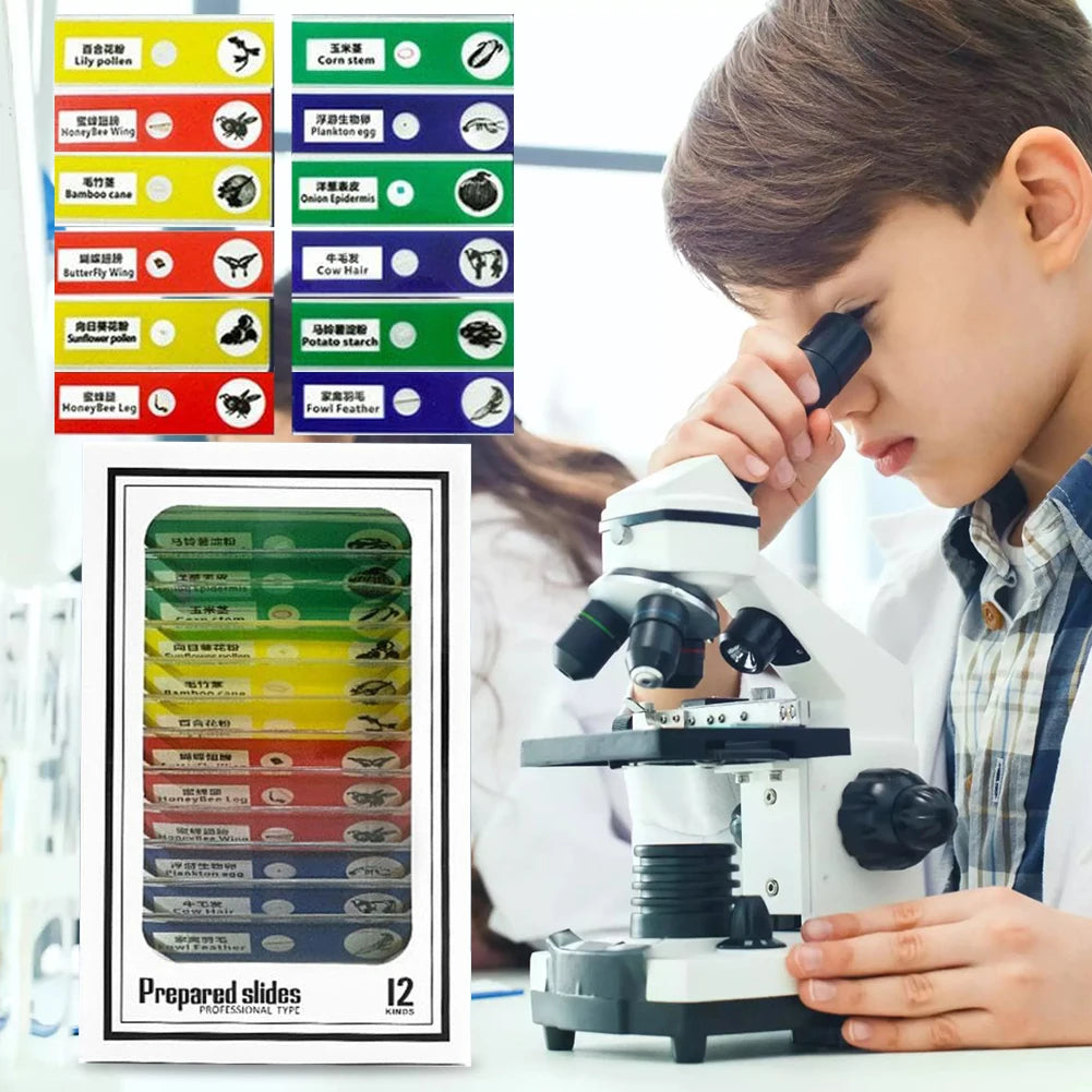 Educational 60-120x LED Handheld Microscope - Battery Powered Toy for Kids, Outdoor Gift